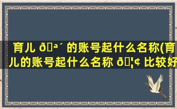 育儿 🪴 的账号起什么名称(育儿的账号起什么名称 🦢 比较好)
